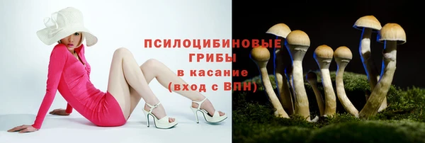 ECSTASY Алзамай