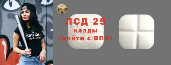 ECSTASY Алзамай