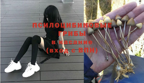 амф Алексеевка