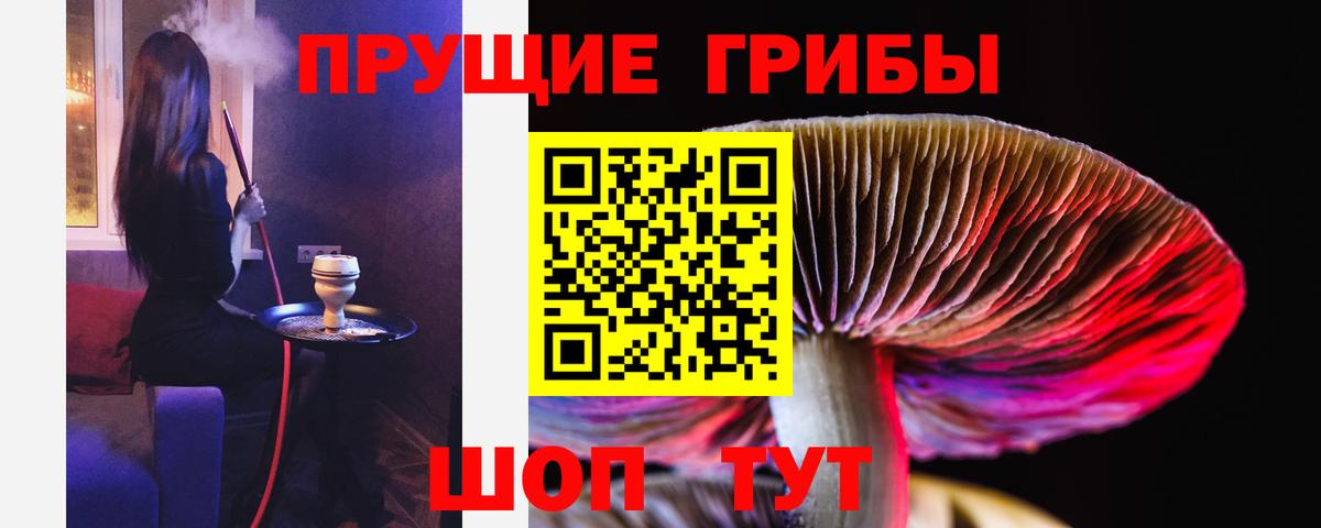 Скопин  Галлюциногенные грибы Psilocybine cubensis  Вход с VPN 